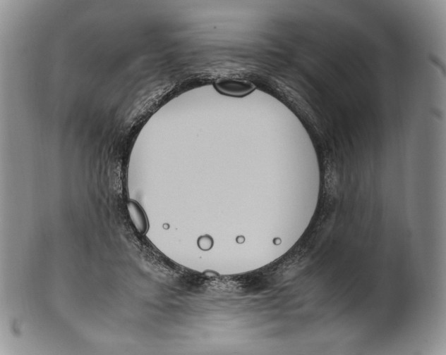 X0000100770403200807101756