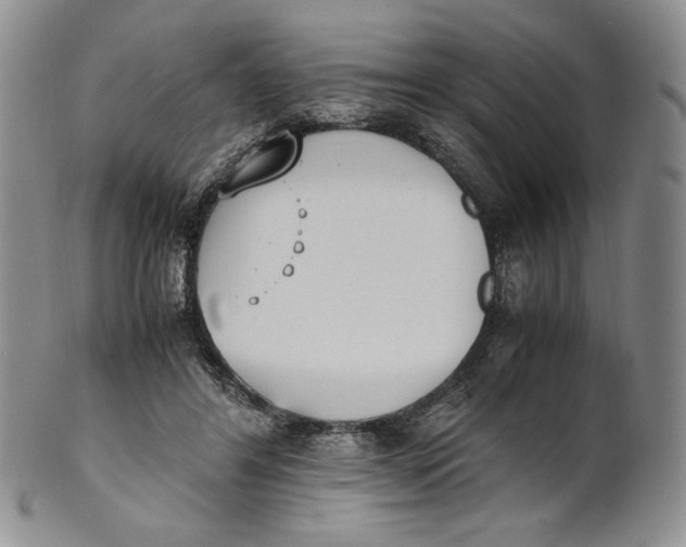 X0000100770404200807101756
