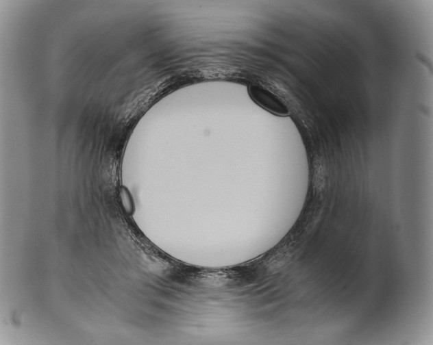 X0000100770405200807101756