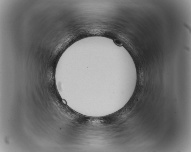 X0000100770407200807101756