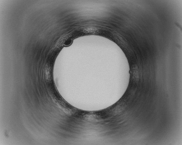 X0000100770408200807101756