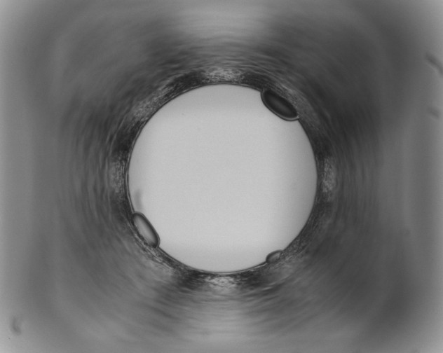 X0000100770409200807101756