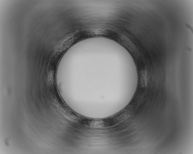 X0000100770410200807101756