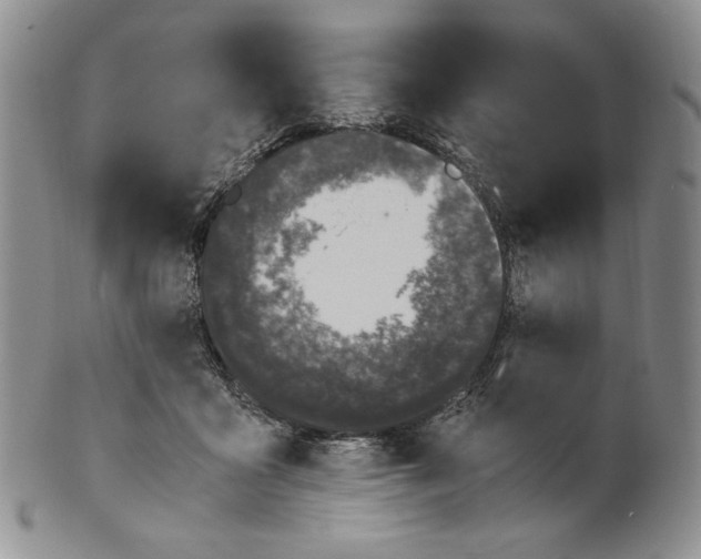 X0000100770411200807101756