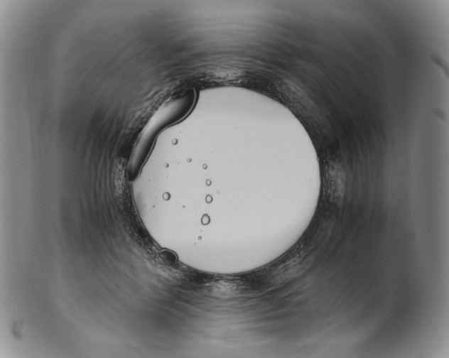 X0000100770412200807101756