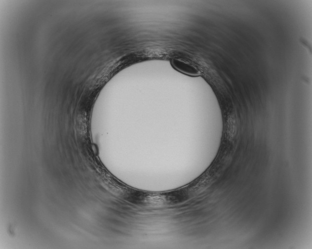 X0000100770413200807101756
