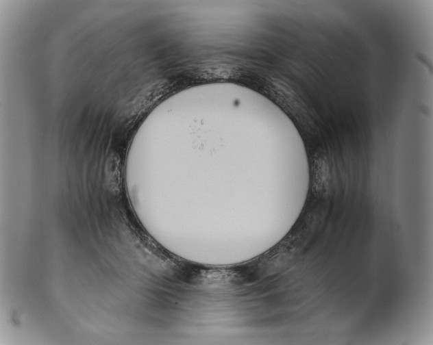 X0000100770414200807101756