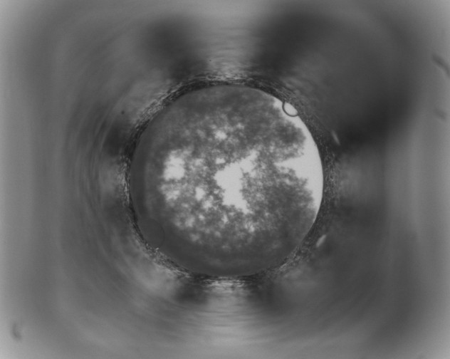 X0000100770415200807101756