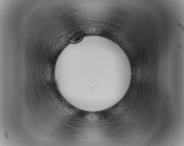 X0000100770416200807101756