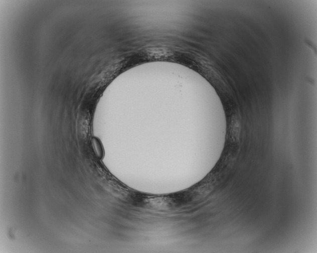 X0000100770417200807101756