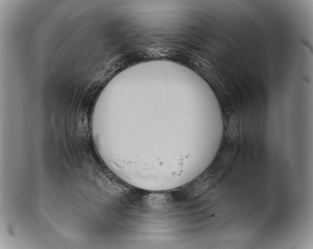 X0000100770418200807101756