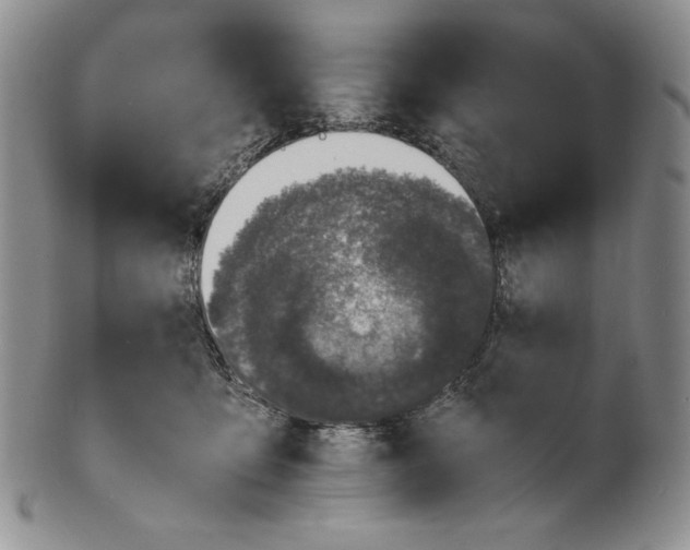 X0000100770419200807101756