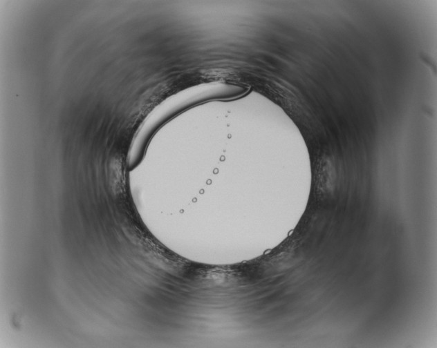 X0000100770420200807101756