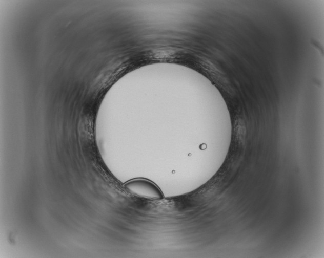 X0000100770421200807101756
