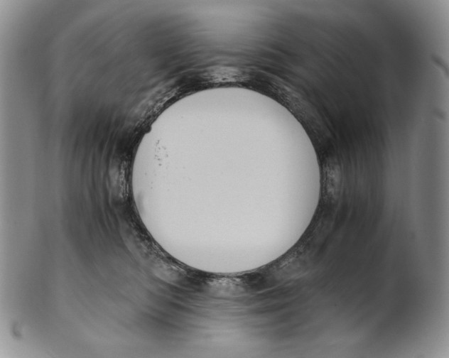 X0000100770422200807101756