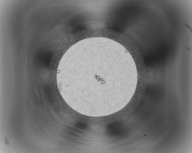 X0000100770423200807101756