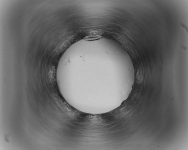 X0000100770424200807101756