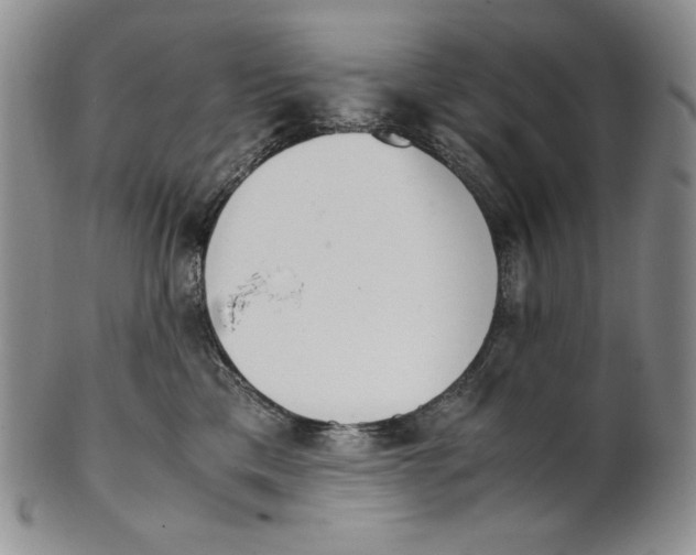 X0000100770425200807101756
