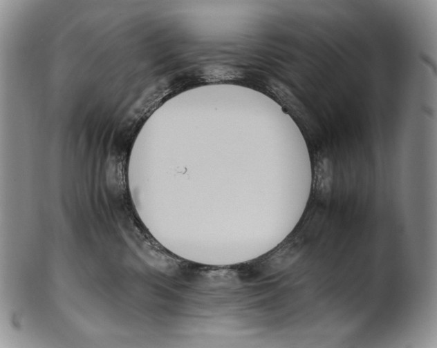 X0000100770426200807101756