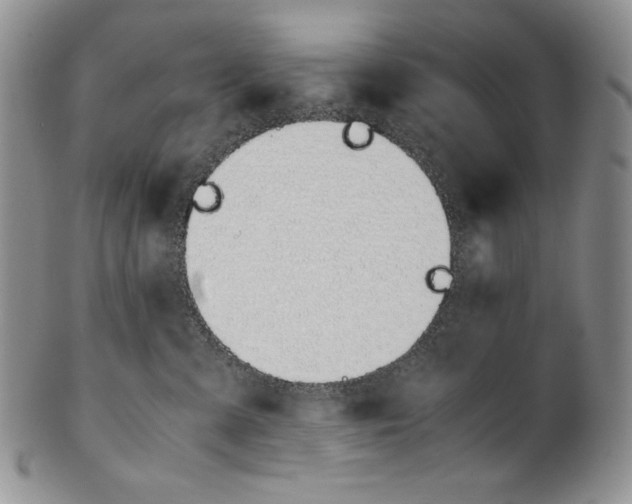 X0000100770427200807101756