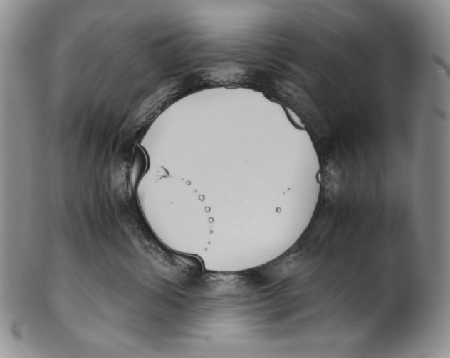 X0000100770428200807101756