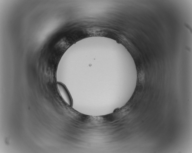 X0000100770429200807101756