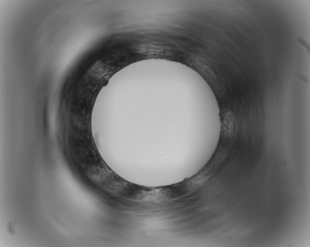 X0000100770430200807101756