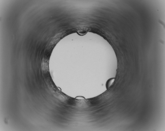 X0000100770432200807101756