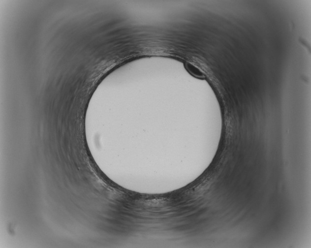 X0000100770433200807101755