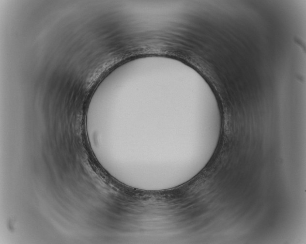 X0000100770434200807101755