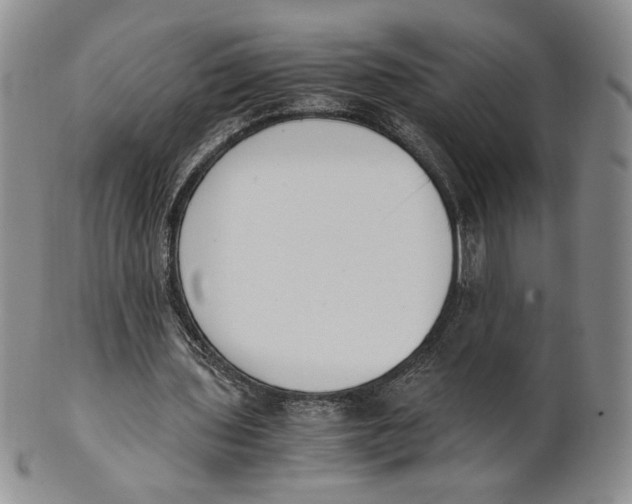 X0000100770435200807101755