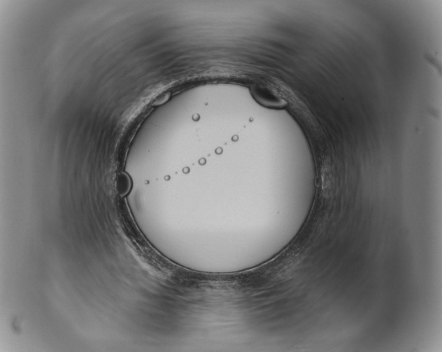 X0000100770436200807101755