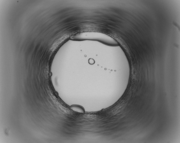 X0000100770437200807101755