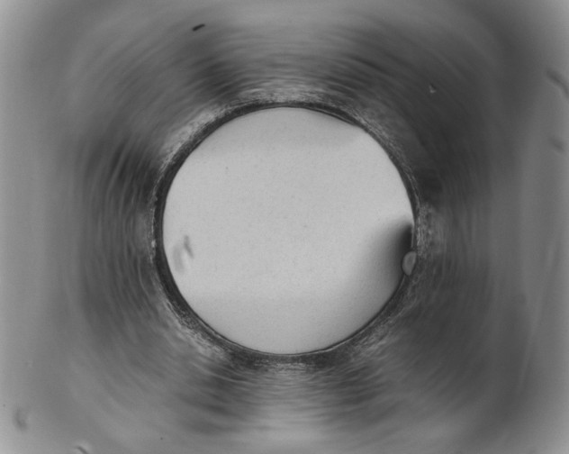 X0000100770438200807101755