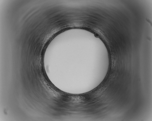 X0000100770439200807101755