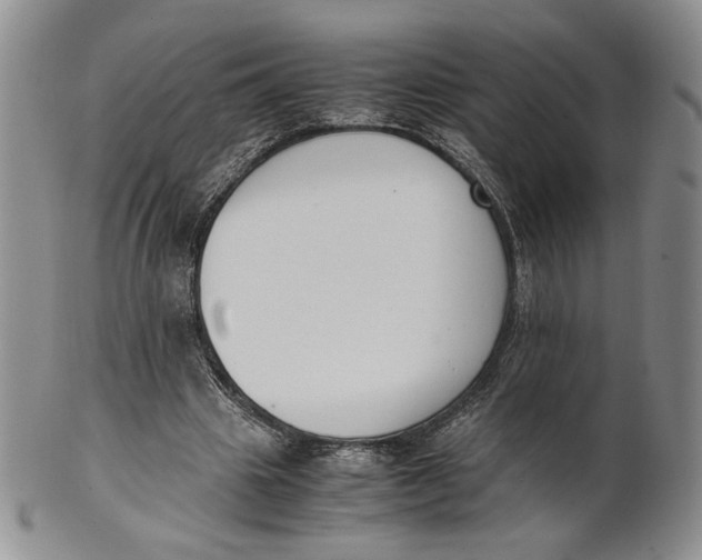 X0000100770441200807101755