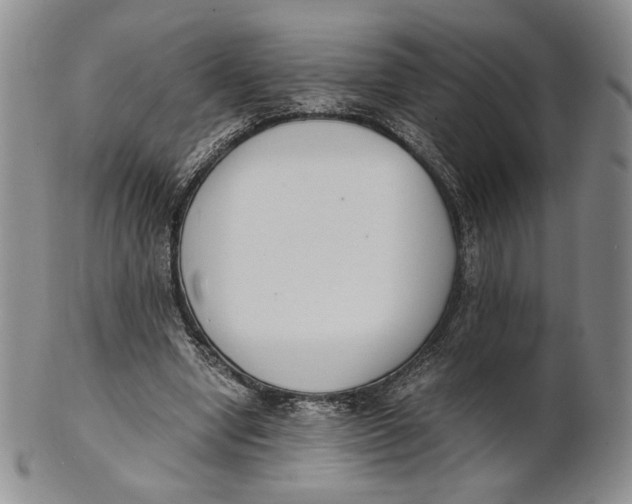 X0000100770442200807101755