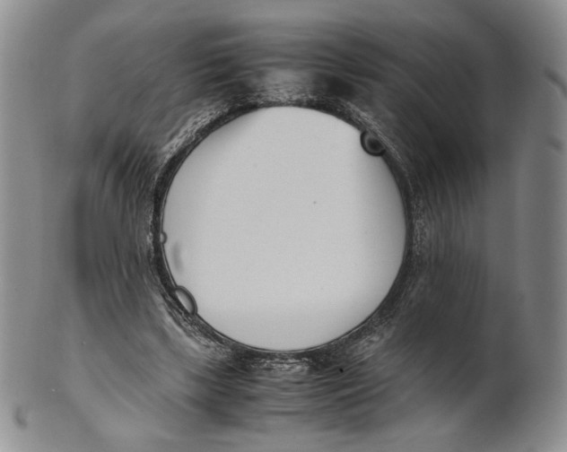 X0000100770443200807101755