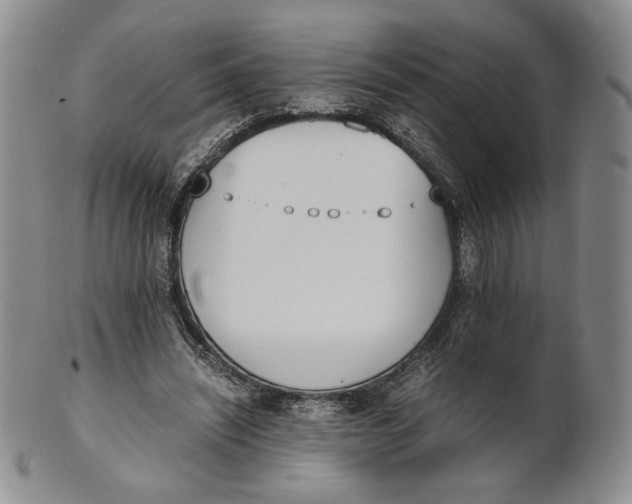 X0000100770444200807101755