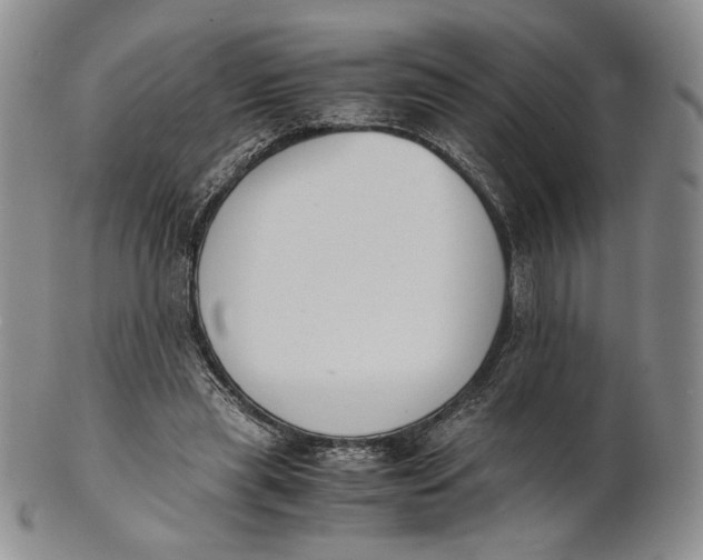 X0000100770445200807101755
