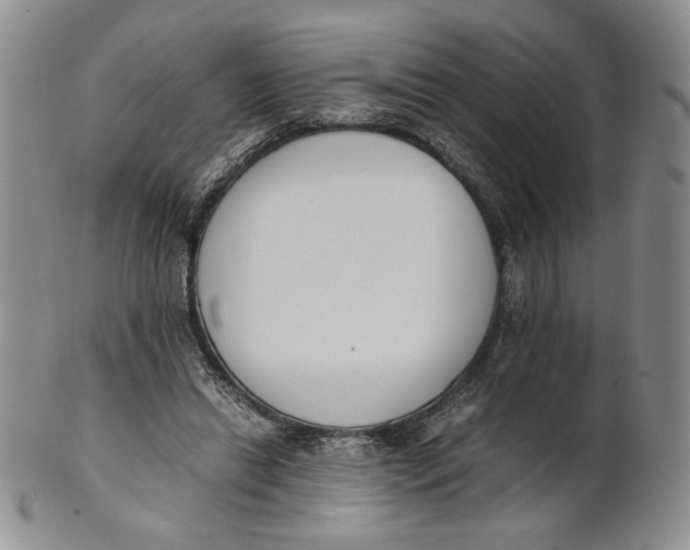 X0000100770446200807101755