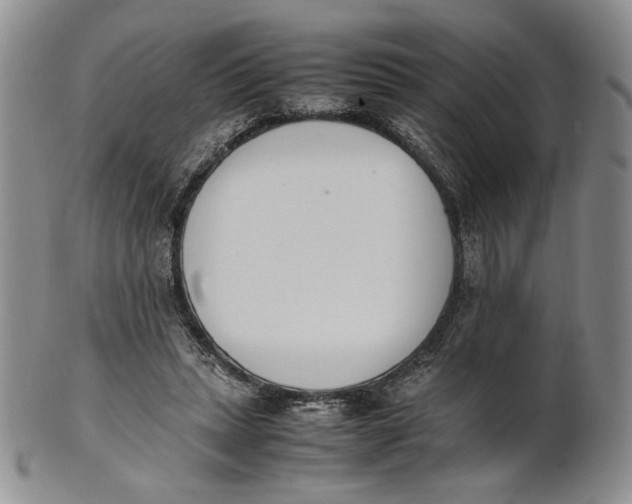 X0000100770447200807101755