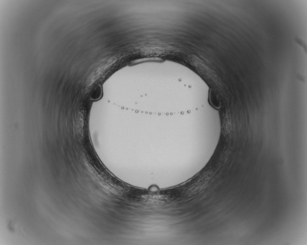 X0000100770448200807101755