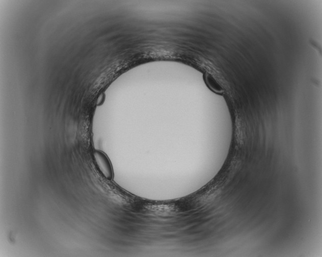 X0000100770449200807101755