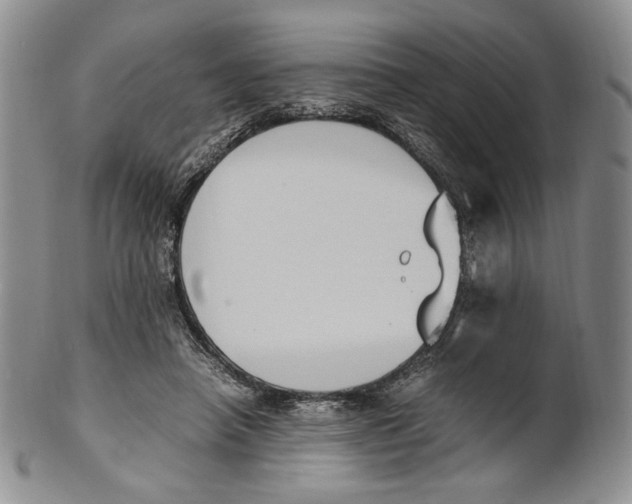 X0000100770450200807101755