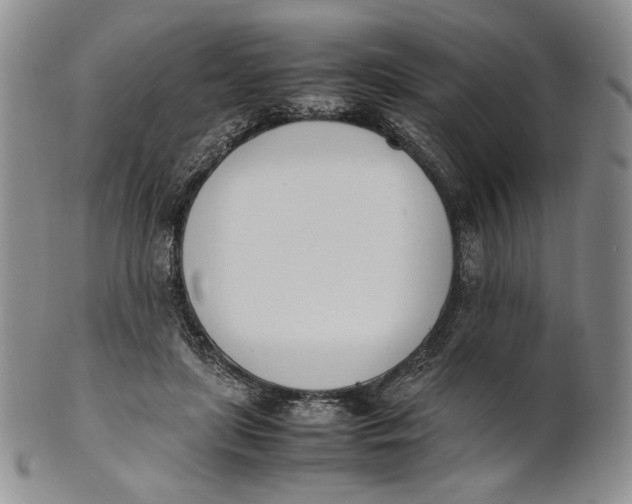 X0000100770451200807101755