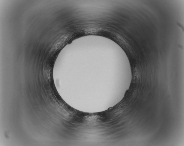X0000100770452200807101755