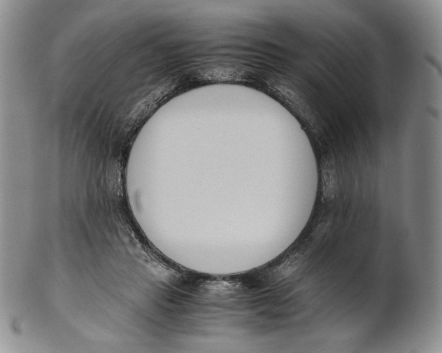 X0000100770453200807101756