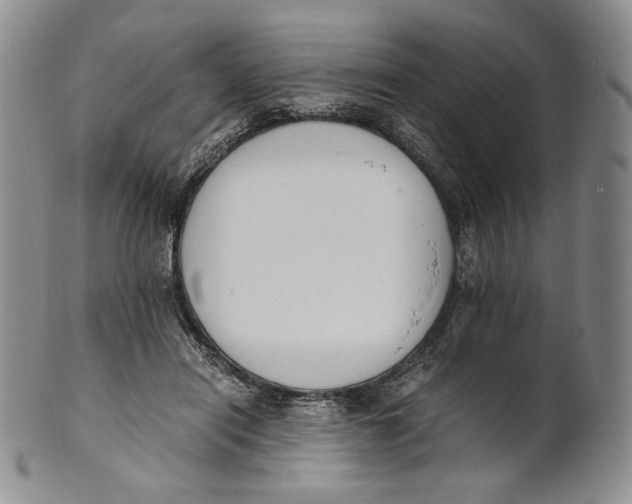 X0000100770454200807101756