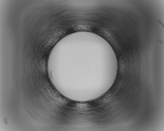 X0000100770457200807101756